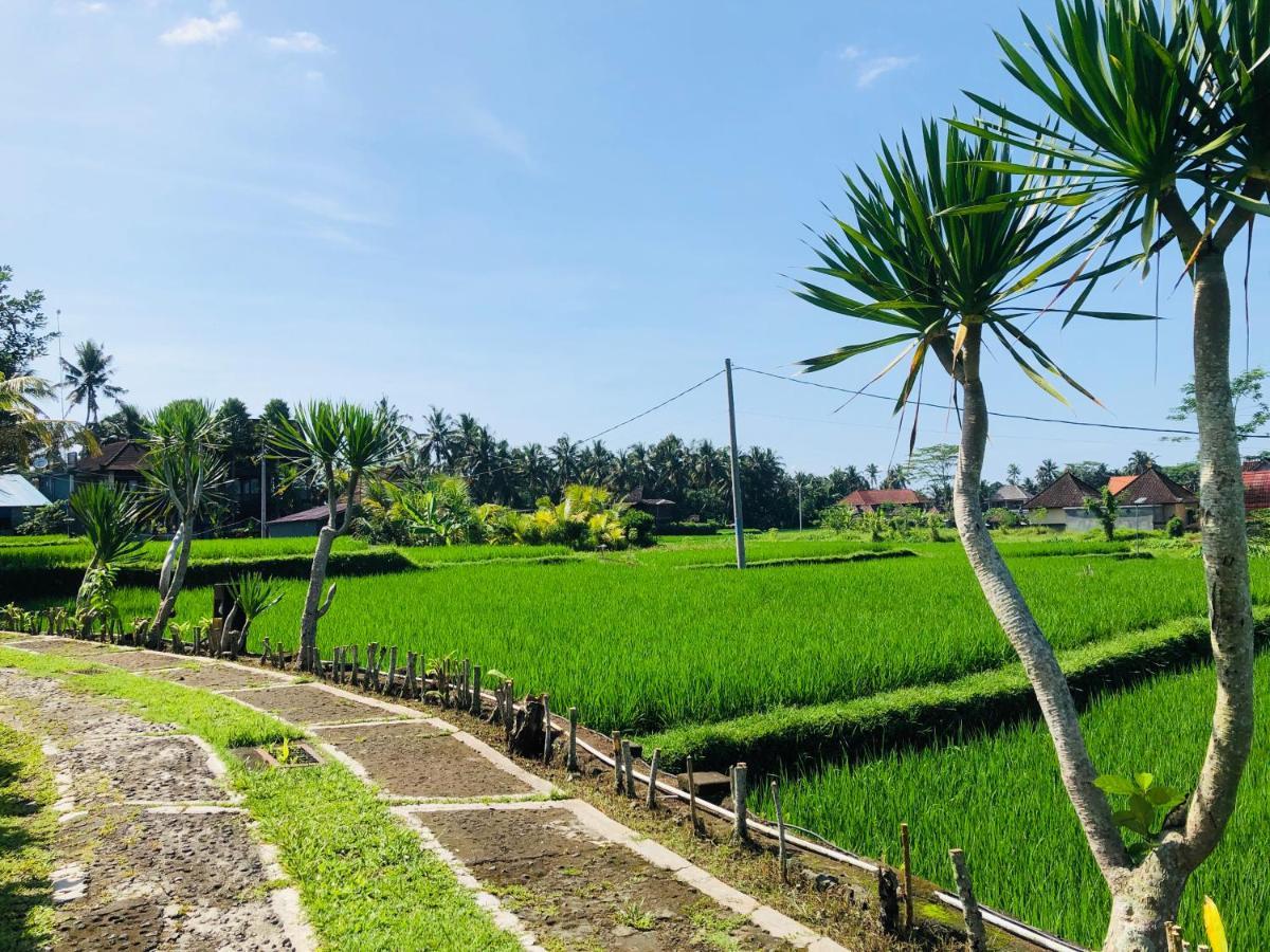 Villa JJ&Spa Ubud Exteriör bild