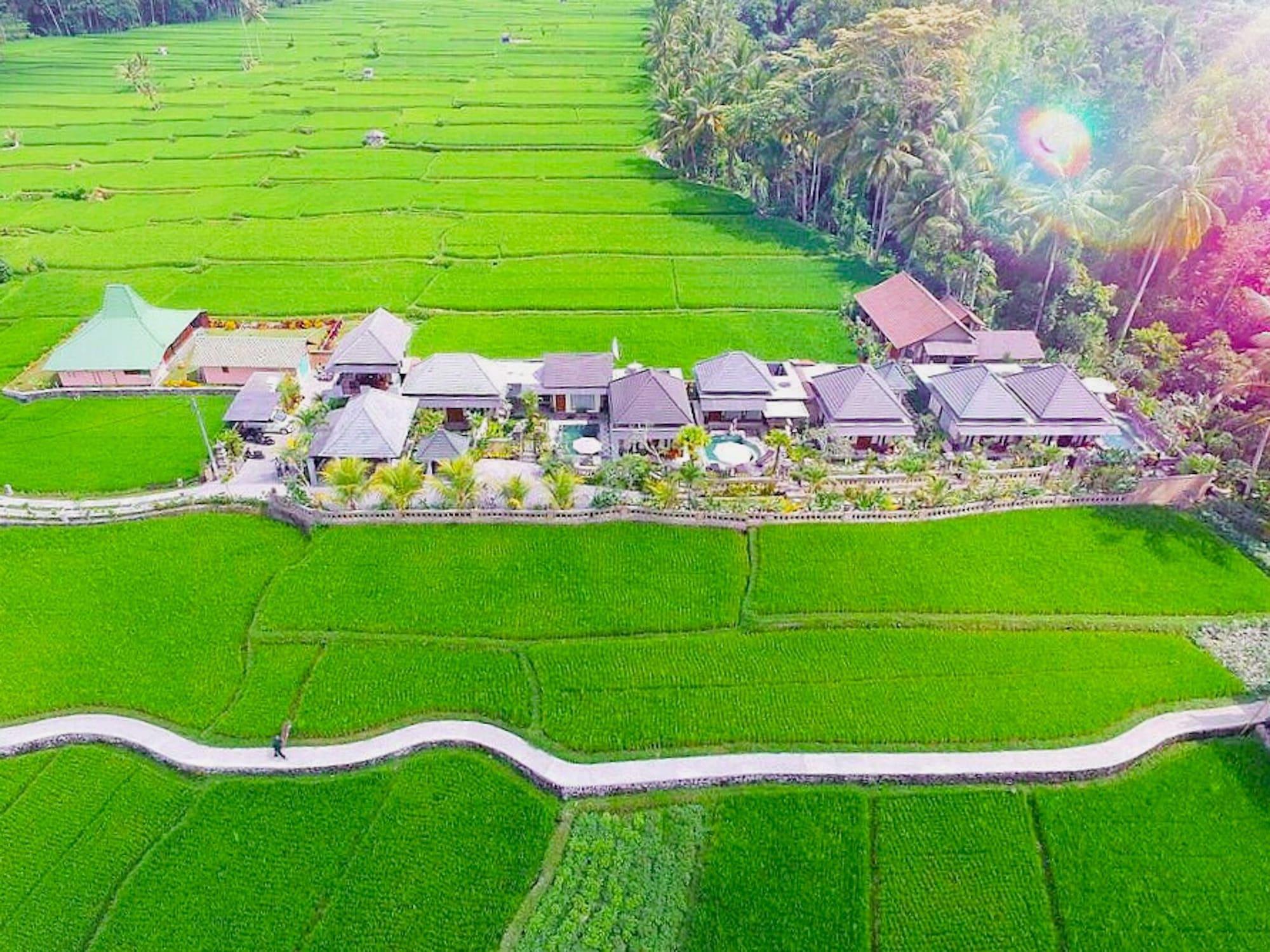 Villa JJ&Spa Ubud Exteriör bild