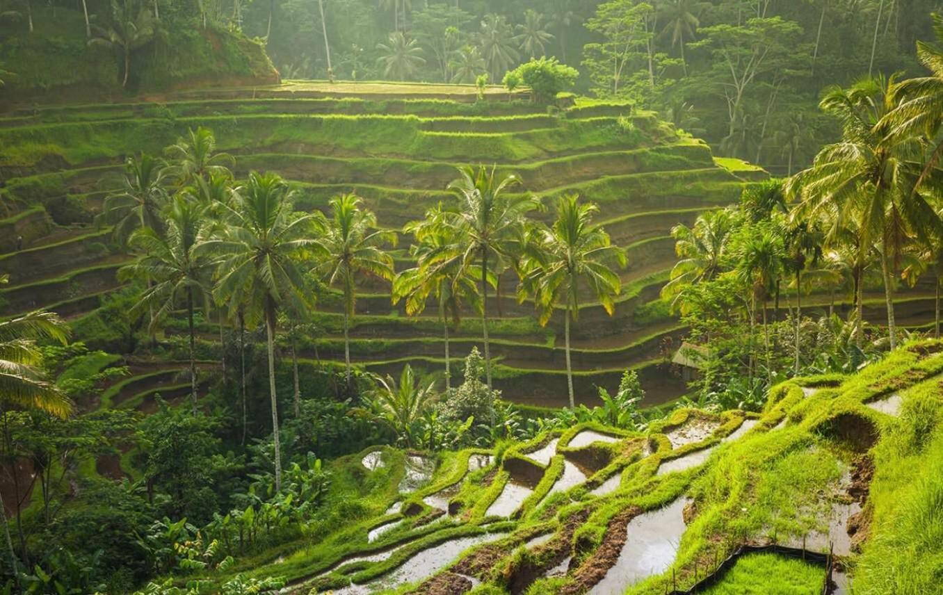Villa JJ&Spa Ubud Exteriör bild
